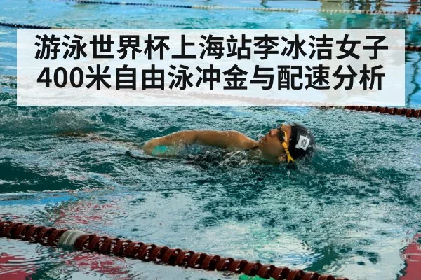 freestyle swimmer pool